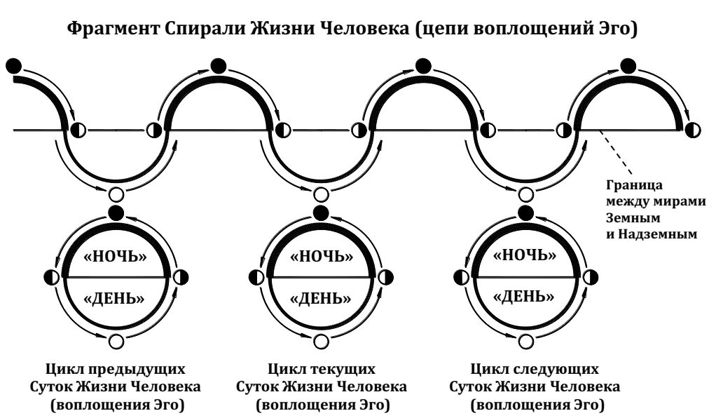 8 циклов жизни. Цикл человеческой жизни. Цикличность жизни человека. Семилетние циклы в жизни. Спираль цикличность.