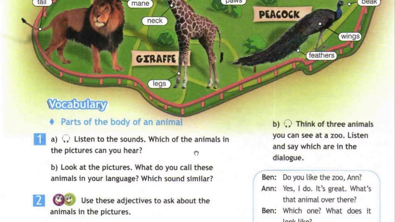 Do you like the zoo. At the Zoo спотлайт 5 класс. Зоопарк на английском языке. Урок спотлайт 5 класс в зоопарке. Английский язык 5 класс про зоопарк.