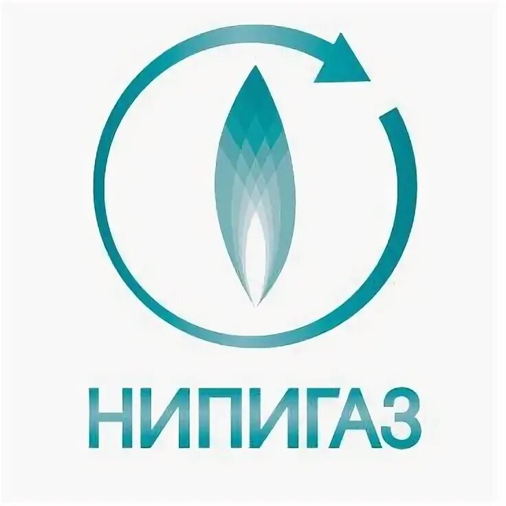 Нипигаз инжиниринг. Нипигаз. сибур нипигаз. спецодежда нипигаз. нипигаз краснодар фото.
