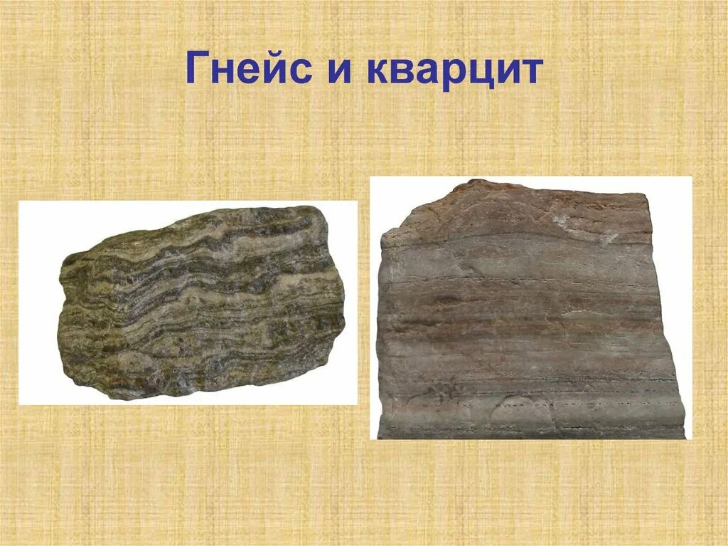 Кварц биотитовый сланец. Гранито гнейс. Кварцит гнейс. Кварцит гнейс. Кварцит гнейс.