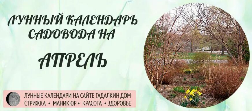 Лунный календарь садовода на апрель 2023. Календарь садовода 2024 апрель. Лунный календарь на апрель 2023 садовода и огородника. Лунный календарь садовода на апрель 2022. Лунный календарь огородников апрель 2020