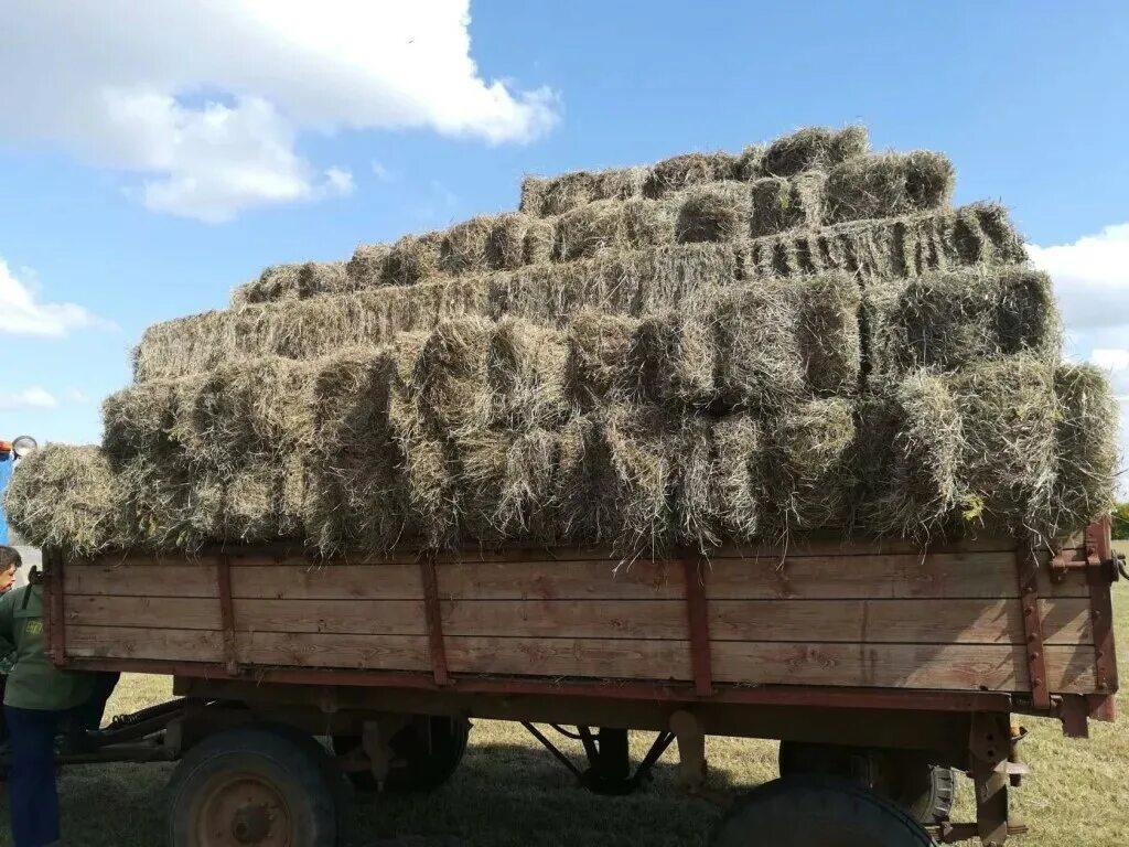 Тюк сена весит. Сено разнотравье в тюках. Солома в тюках. Сено в тюках 250 кг. Сено в тюках 15 кг.