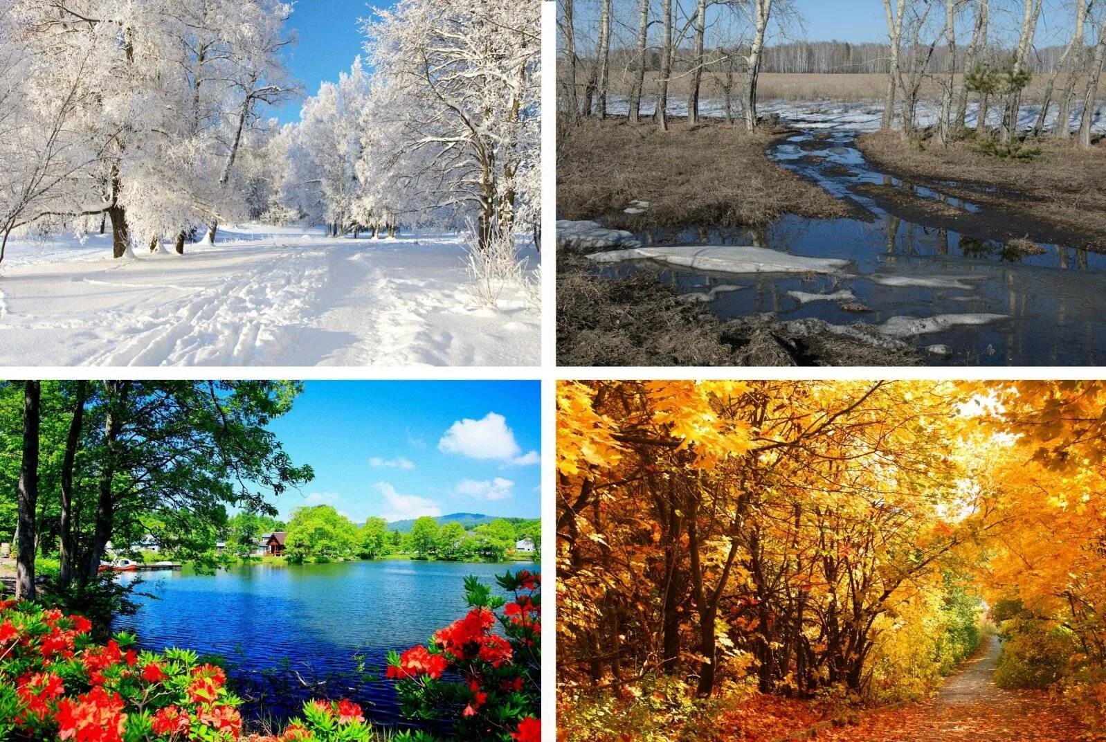 Времена года фото. Весенний пейзаж. Climate seasons