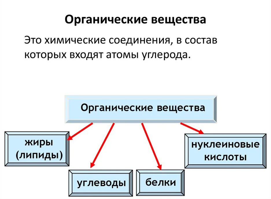 Органические вещества примеры функции Решебник 5 класс по математике мерзляк Blog, Integrity