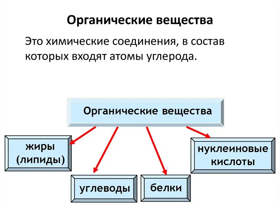 Примером органических веществ является. Из чего состоят органические соединения. Из чего состоят органические вещества. Органические вещества это в биологии 6 класс определение. Йодорганические соединения.