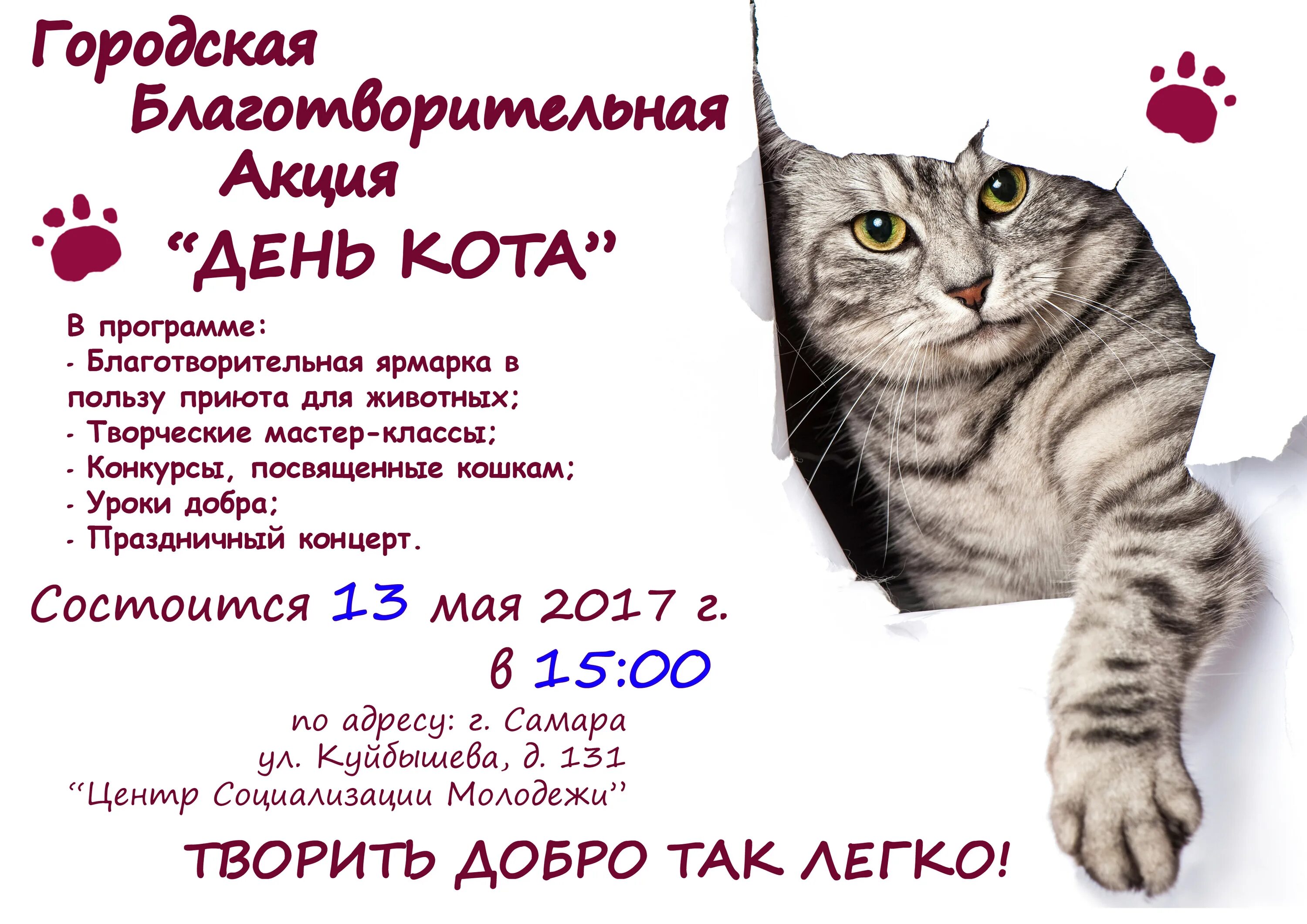 Имя дня кота