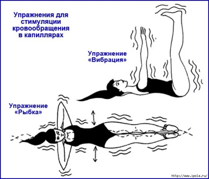 упражнения для циркуляции крови. упражнения для сердца. упражнения для головы для сосудов головного мозга. упражнение шеи для улучшения кровоснабжения мозга. лфк (упражнения дикуля, восточные техники).