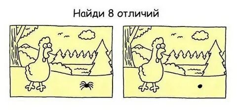 Не смотря на различие