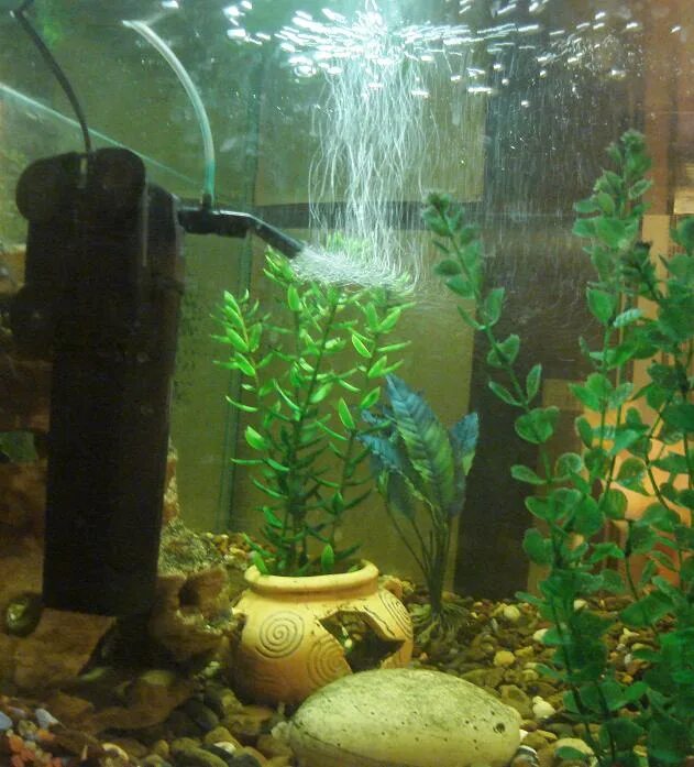 Фильтр sobo 1200 l/h. Предфильтр для аквариума. Фильтр для аквариума juwel aquarium 201k. Фильтр для аквариума pump wp-950f. Фильтр барбус для аквариума 048.