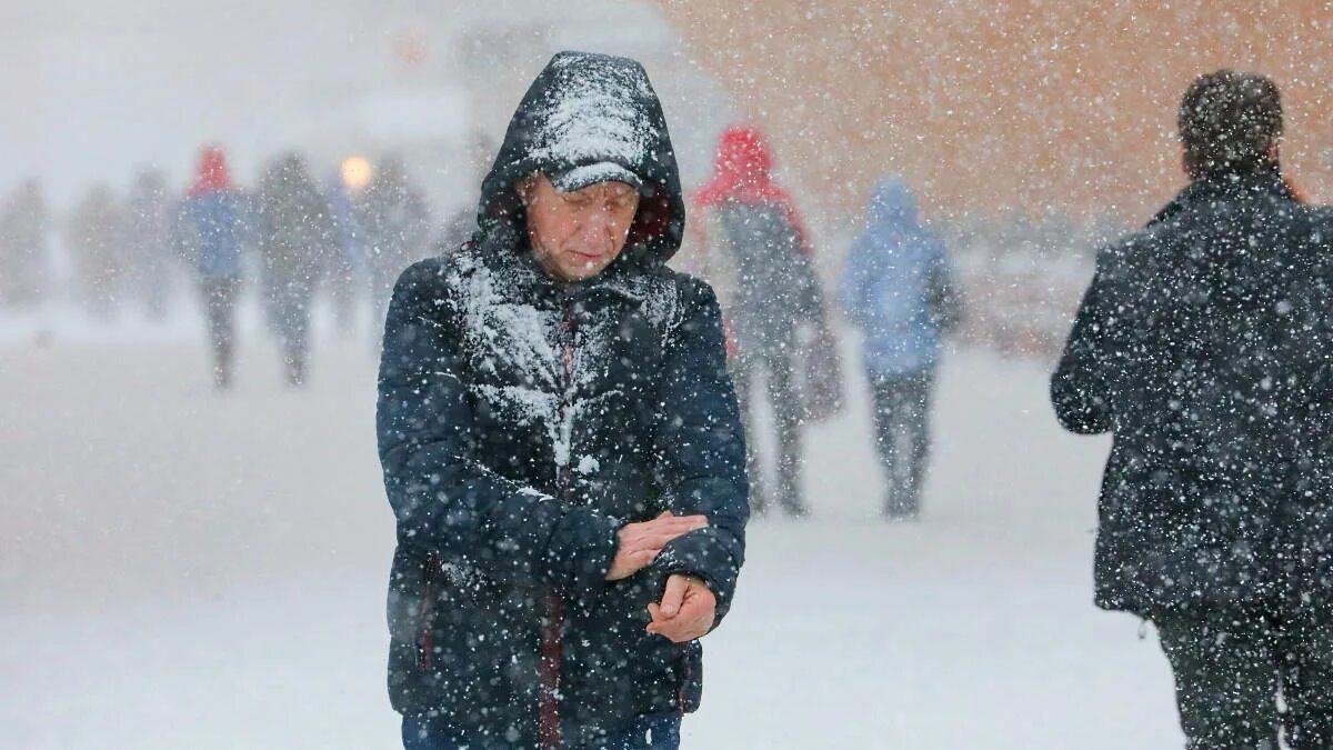 Сильный снегопад. Сильный снег. Снег в Москве. Снежная погода. Ощущается в москве