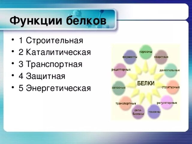 Составьте схему функции белков. Функции белков схема. строительная функция белков. функции белков картинки. функции белков биология.