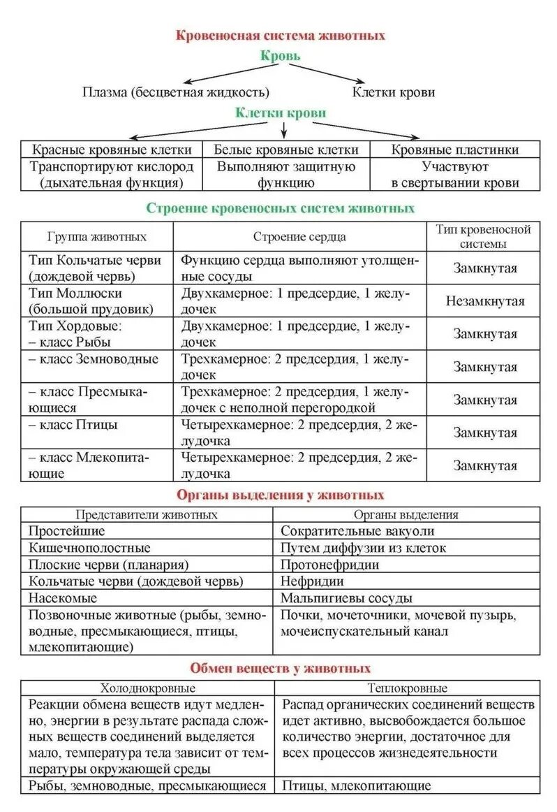 Биологические термины и их значение 5 класс. Основные термины по биологии. биология 7 класс основные термины и понятия. биологическая термины по биологии. основные термины по биологии 5 класс.