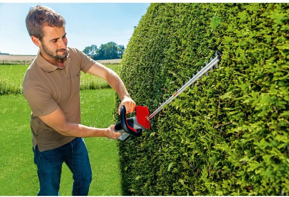 Крымская сосна ниваки. Серебристый тополь кронирование. Кедр ниваки. Штанговый сучкорез гардена. Для обрезки кроны деревьев.