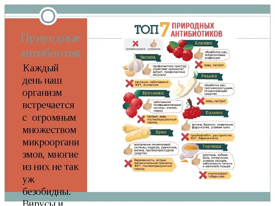 Препараты после лечения антибиотиками. Природные антибиотики. Продукты природные антибиотики. Природные антибиотики список. Природные антимикотики.