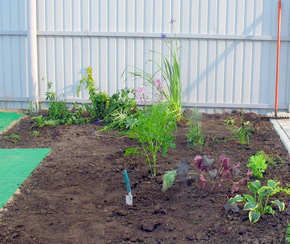 Лучшие почвы для закладки сада. Лучшие почвы для закладки сада. Подготовка почвы для сада закладки. Удобрения для растений. Лучшие почвы для закладки сада.