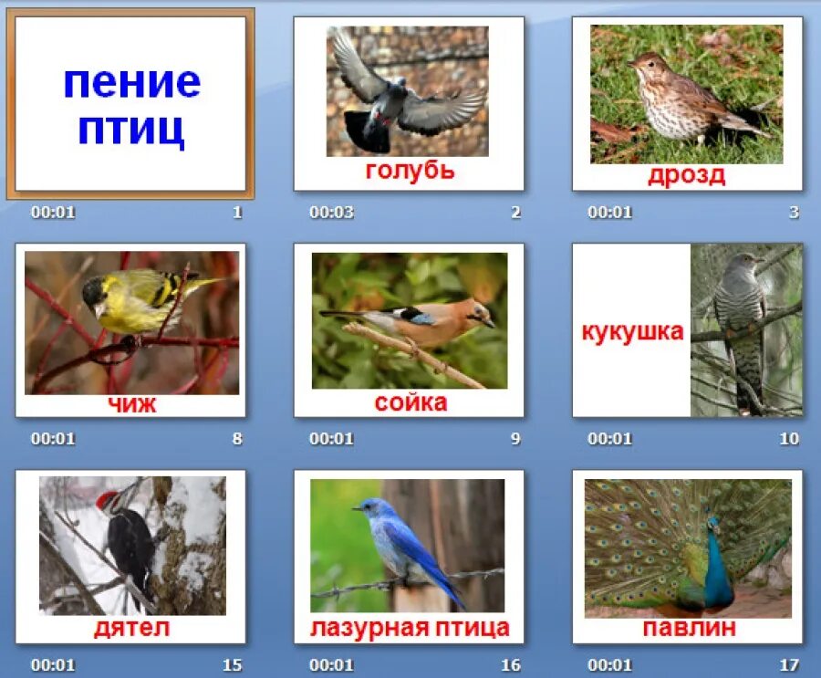 Звук bird. Звуки птиц. Птицы со звуком г. Птицы со звуком с в названии. Карточки Домана птицы.