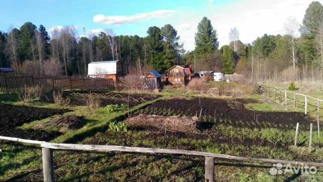 Некрасово тарусский. СНТ Некрасово. ДНП Некрасово. Томск Некрасово участок. Деревня Некрасово Томская область.