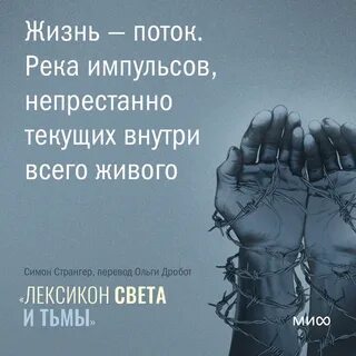 Жизнь в потоке