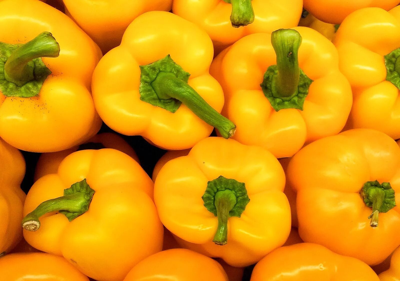 Белл Пеппер. Перец медовый Король f1. Yellow Bell Pepper. Желтое перо. Good pepper