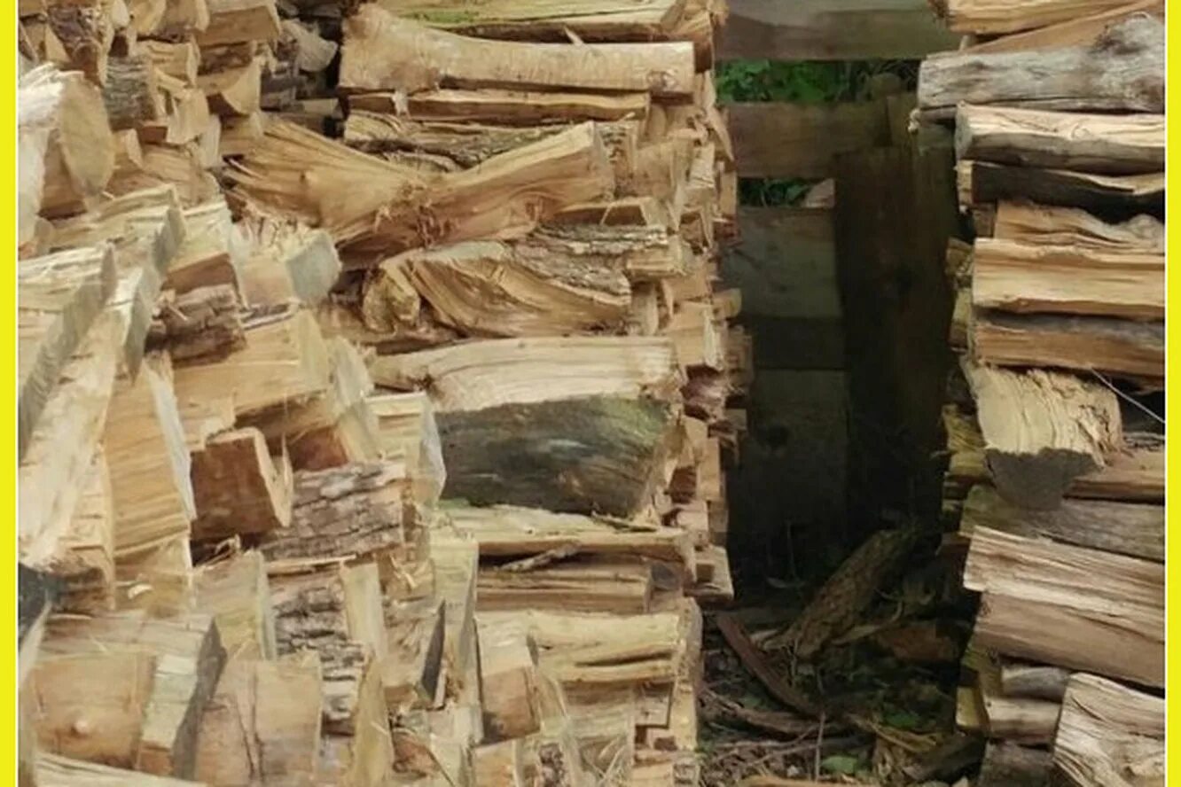 Загадка где кот. Найди кота. Найдите кота. Кот на дровах. Найди кошку в дровах.