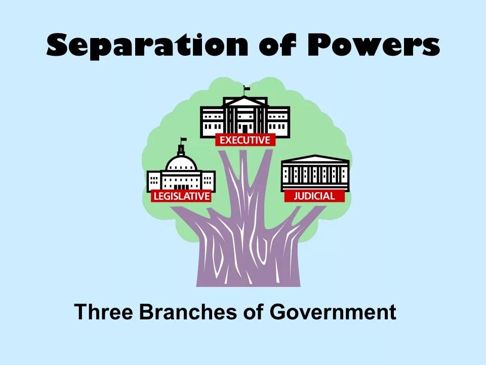 Separation of Powers. Три ветви власти в США. Разделение властей. Дерево власти в Америке. The government to reduce