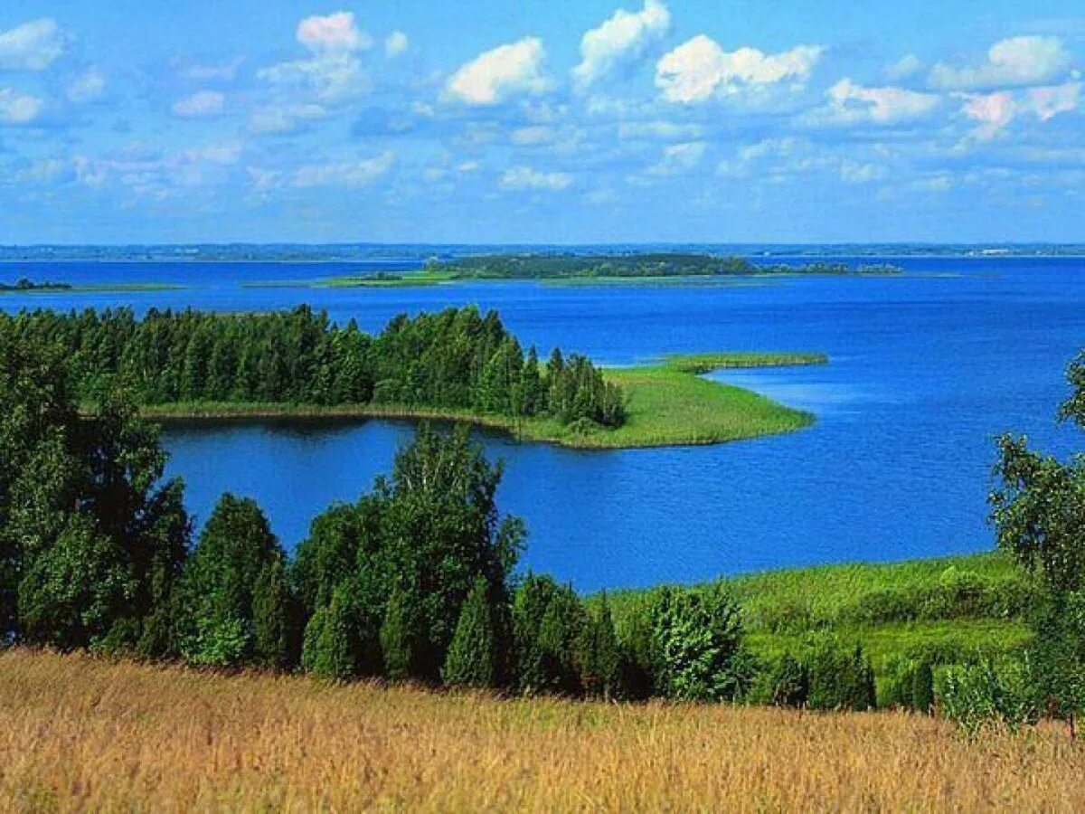 Природа беларуси детям