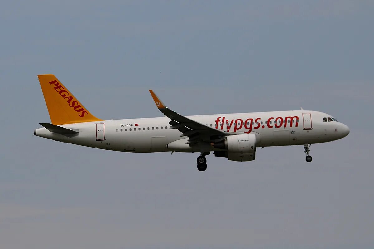 Пегасус эйрлайнс отзывы. Pegasus Airlines Airbus-320. Pegasus Airlines a320 Neo. Аэробус 320 200 Пегасус. Pegasus Airlines Airbus a320-251n.