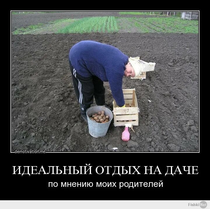 А на даче жизнь иначе. Приколы про дачу. отдых на даче прикольные. демотиваторы про огород. русские на даче демотиваторы.