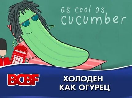 As cool as a