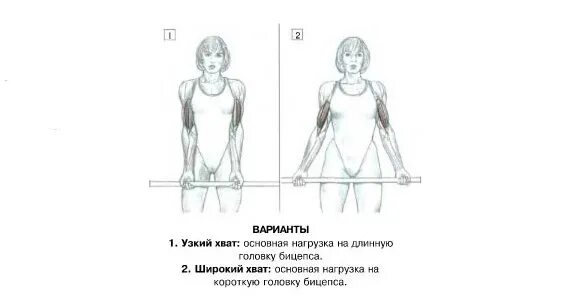 Подъем на бицепс нормативы 2024. Поднятие штанги на бицепс нормативы. Узкий и широкий хват штанги на бицепс. Нормативы по подъему штанги на бицепс стоя 2021. Строгий подъем на бицепс нормативы.