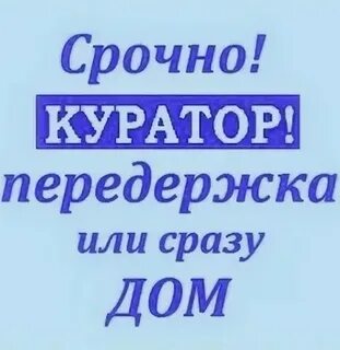 Передержка отзывы