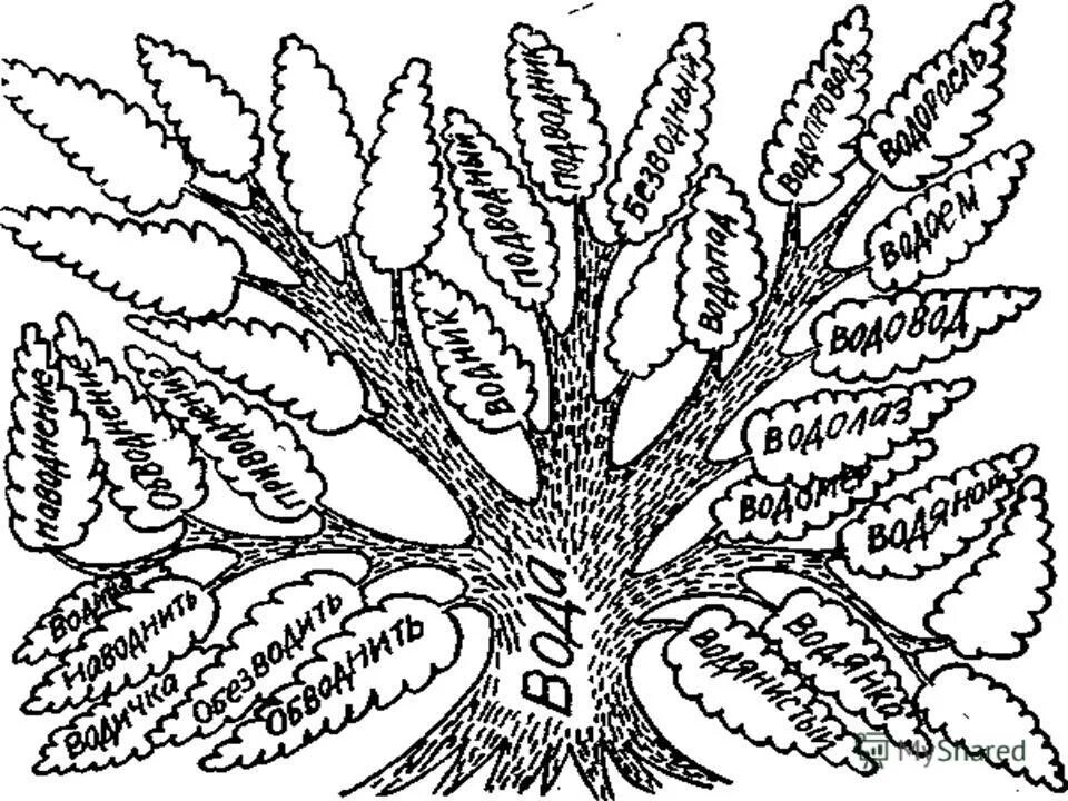 Словообразовательное дерево. Дерево словообразования. Дерево с однокоренными словами. Словообразовательное дерево с корнем вод. Семя слов дерево