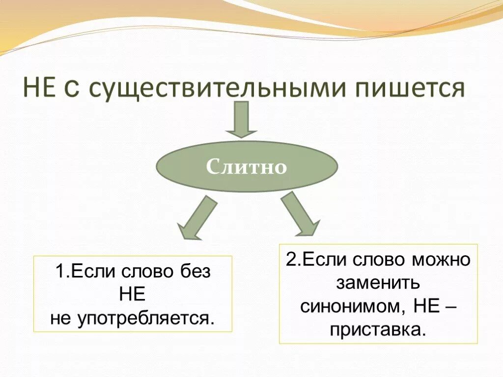 Не с существительными презентация 5. Не с именами существительными 5 класс. Не с существительными 5 класс презентация. Не с существительными пишется слитно если. Приставка не с существительными.