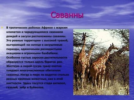 Описание любой зоны