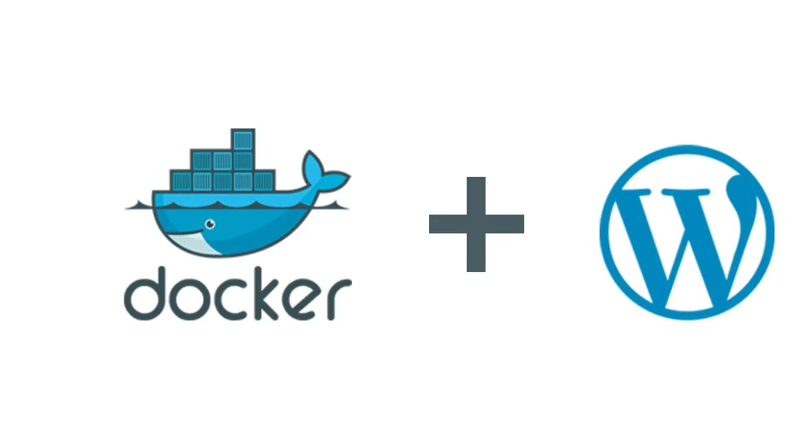 Docker wordpress. Wordpress docker для dev. docker.