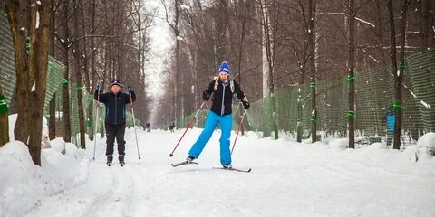 Лыжная трасса сокольники