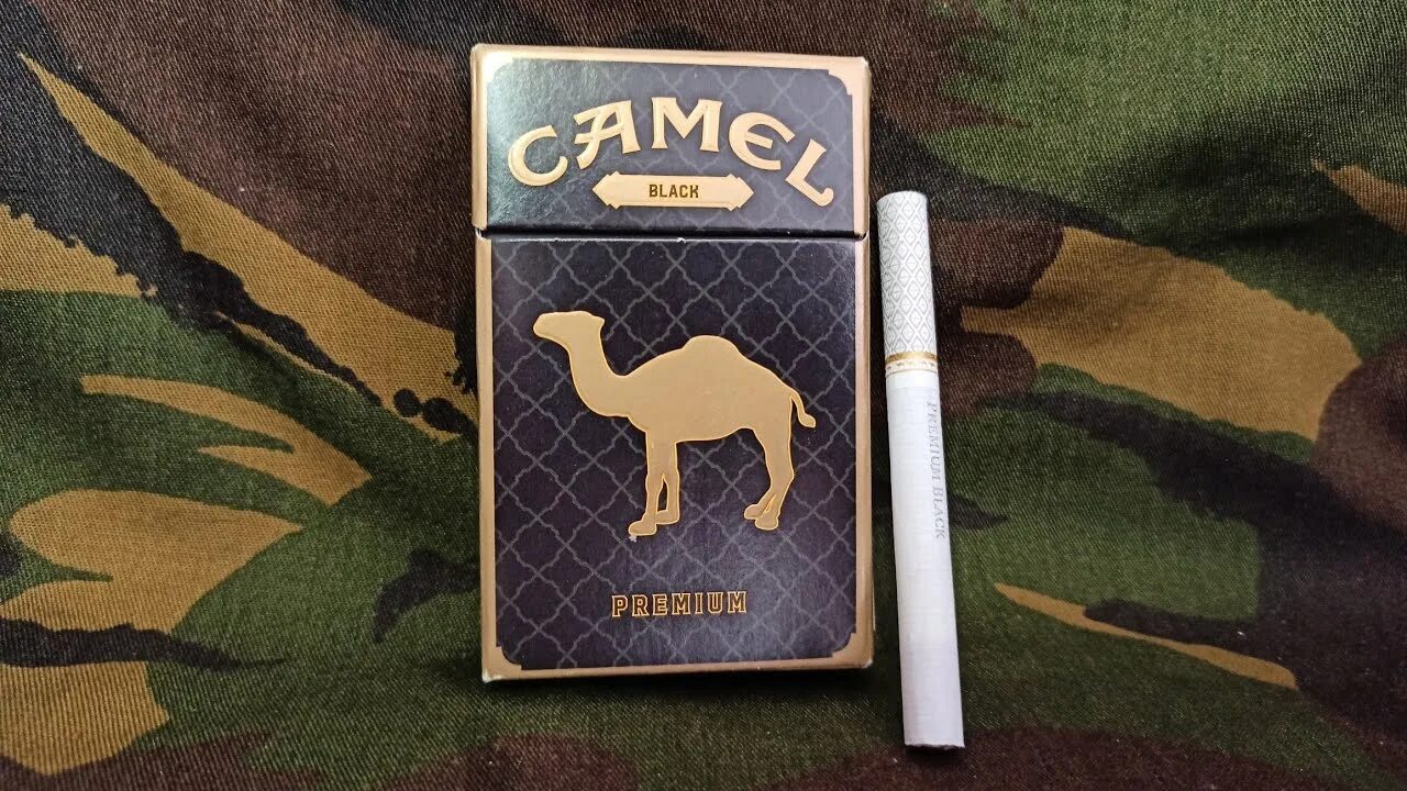 Кэмел компакт купить. Camel Premium Black сигареты. Сигареты кэмел черный премиум. Кэмел сигареты Блэк Блэк премиум. Сигареты Camel Compact Black.