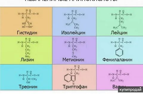 Три незаменимые аминокислоты