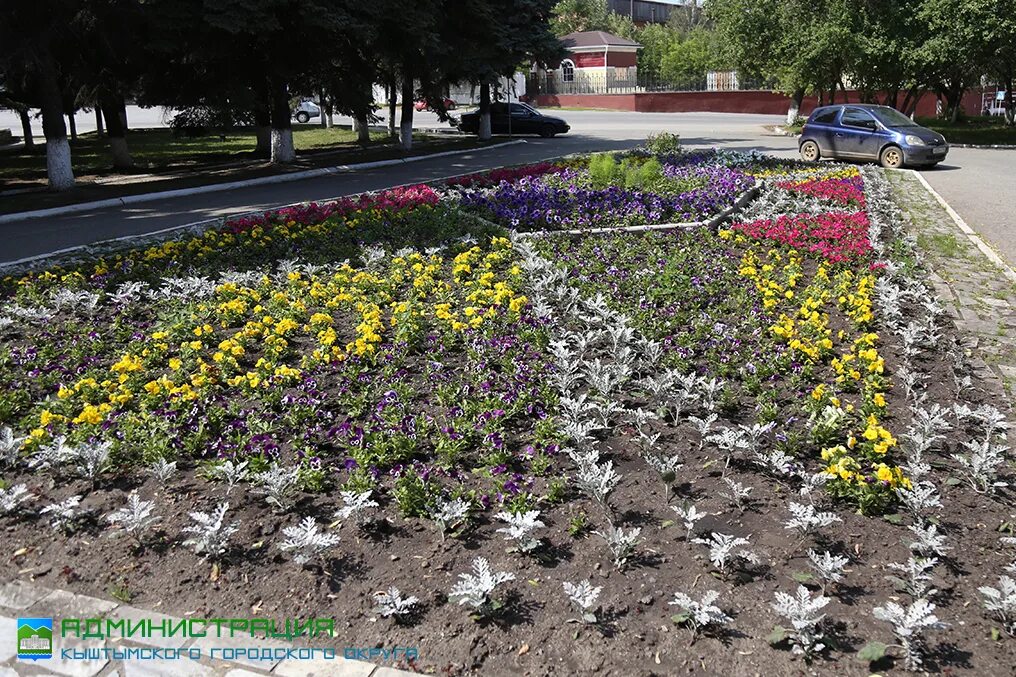 Улица демина 8 кыштым. Цветочек кыштым. Роза нина и эксплорер. Роза эквадор 70 эксплорер. Кыштым новый парк.