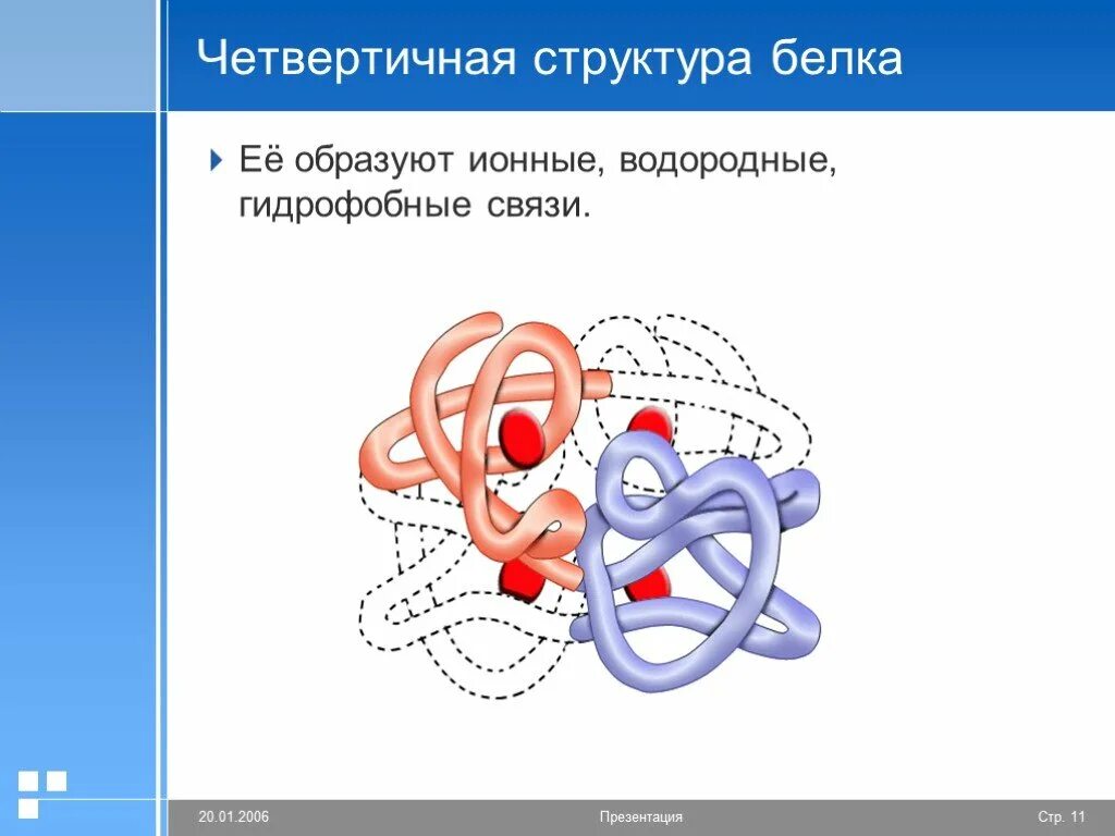 Трехмерная структура белка функции. Четвертичная структура белка глобула. четвертичная структура белка гемоглобина. четвертичная структура белка функции. четвертичная структура белка связи.
