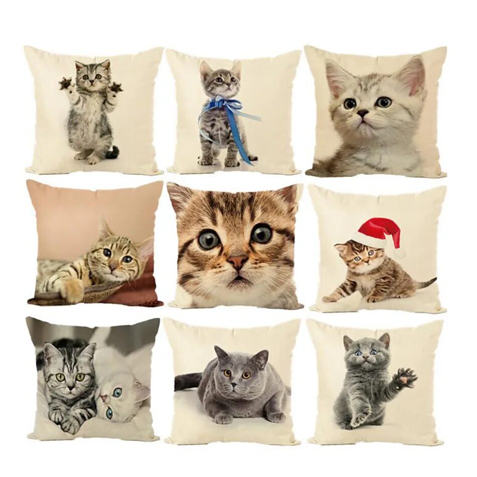 Cat styled. Разновидность кошачьего принта. cat style. cat style underwear.