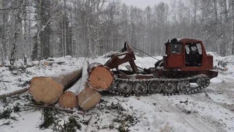 Трелевка леса