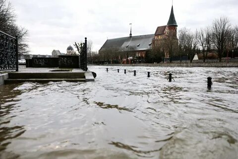 Калининград затапливает