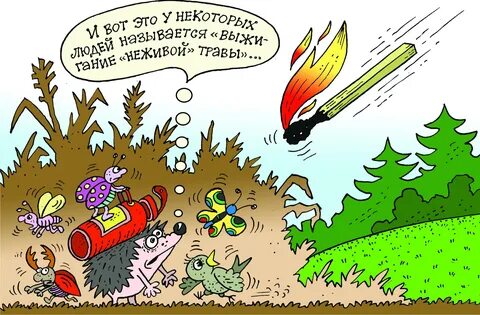 Листовка не сжигайте листья