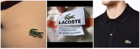 Проверить оригинальность lacoste