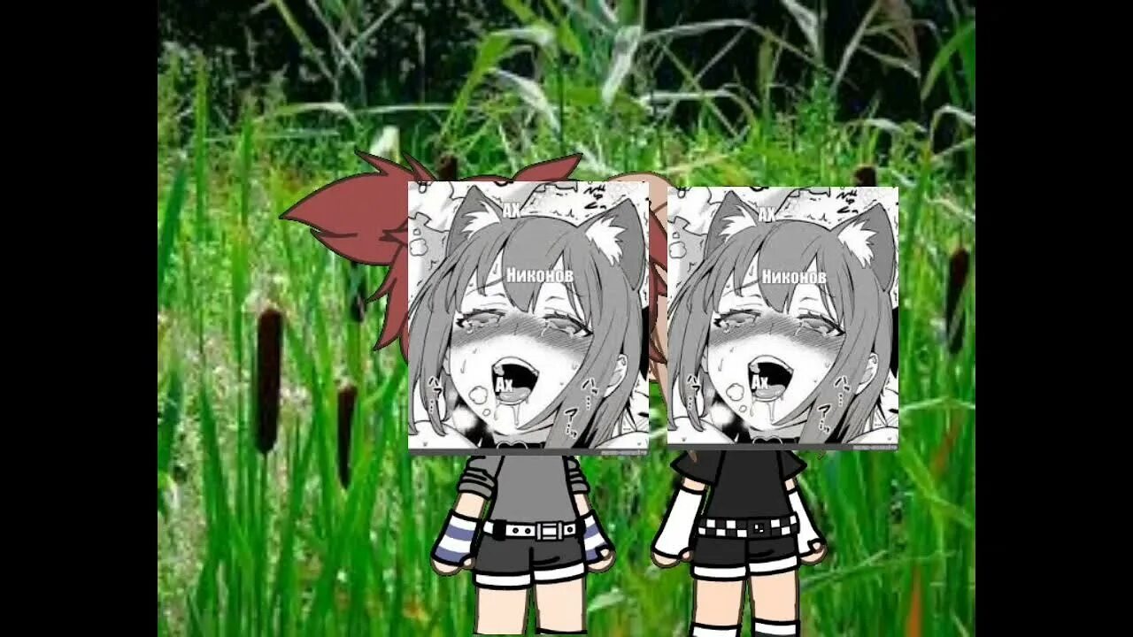 Но поехали. Мы забрались в камыши наебались от души. Мы забрались в камыши наебались от души. Шумел камыш деревья текст. Шумел камыш текст песни.