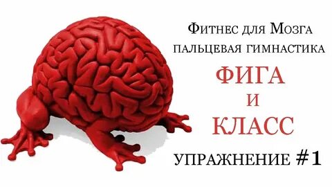 Фитнес для мозгов