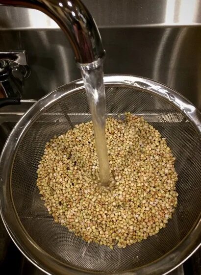 Как промыть гречку. Как промыть гречку. Плесень на гречке. Гречка в азиатском стиле. Перебирание гречки.