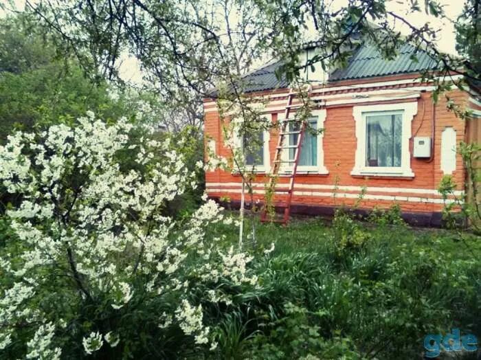 Анастасиевская Краснодарский. Станица Анастасиевская фото. Ст. Анастасиевская ул. Ленина д. 67. Анастасиевская станица фото улицы,магазины.