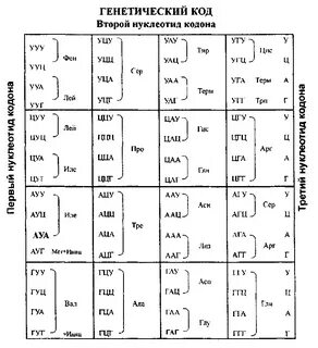 Генетический язык